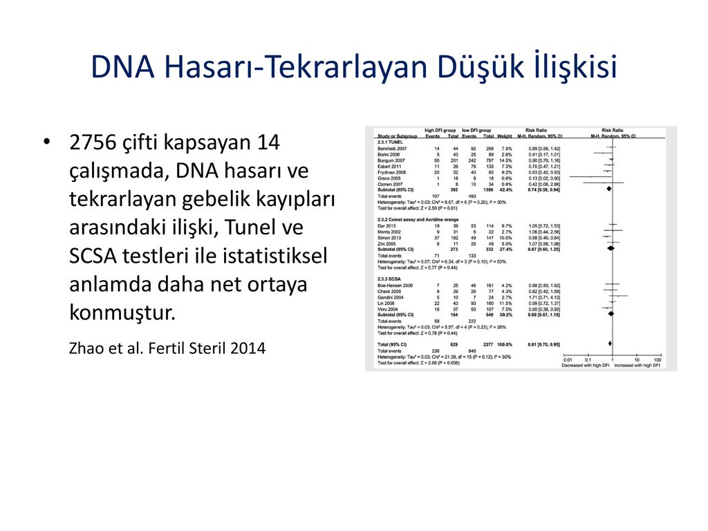 Tekrarlayan Gebelik Kay Plar Nda Erkek Fakt Rleri Ppt Indir